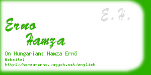 erno hamza business card